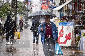 رشد بی‌سابقه این غده در دل اقتصاد ایران