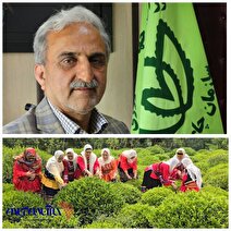 تاکنون بالغ بر یک‌هزار و ۹۸۶ میلیارد تومان از مجموع ۲ هزار و ۸۲ میلیارد تومان بهای چای خریداری شده پرداخت شده که معادل ۹۵.۳ درصد از کل مطالبات است.