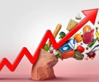 یقه ریشه آشفتگی فعلی بازار را گرفتند