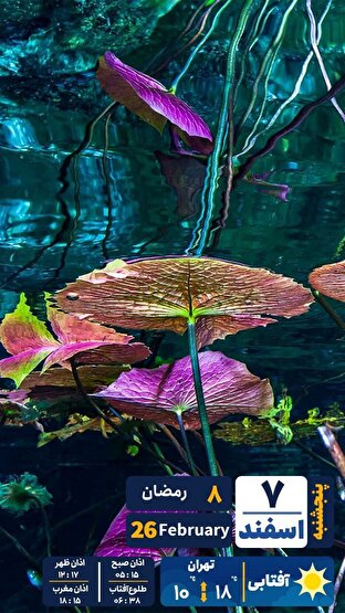 مروری بر سرتیتر روزنامه‌های کشور و مهم‌ترین تیترهای اقتصادی؛ امروز ۷ اسفند ۱۴۰۴