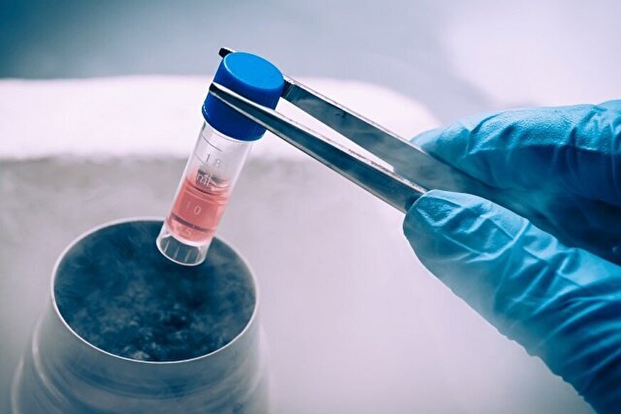 درمان نوین زخم‌های مزمن با کمک سلول‌های بدن