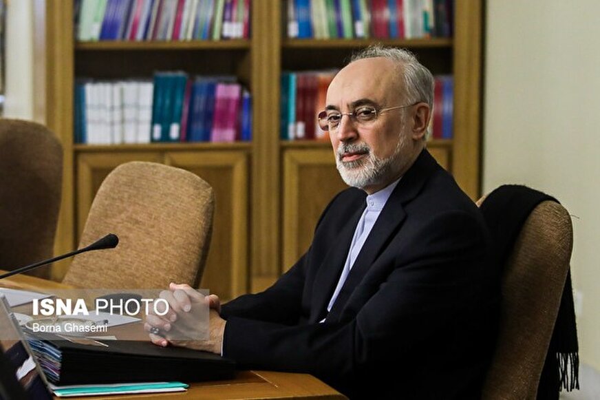 علی‌اکبر صالحی: سعدی نماینده خرد و سخن ایران است