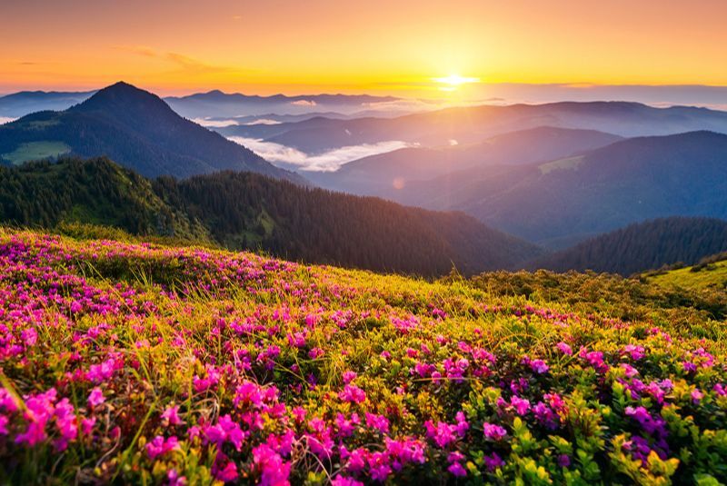 بهار ایران کجا برویم و چه کار کنیم