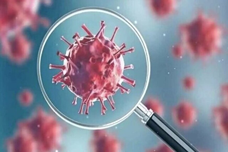 طغیان سویههای قدیمی یا ظهور سویه جدید؟ طغیان سویههای قدیمی یا ظهور سویه جدید؟
