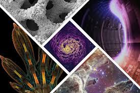 نگاهی به برترین تصاویر علمی ماه از نگاه مجله «نیچر» نگاهی به برترین تصاویر علمی ماه از نگاه مجله «نیچر»