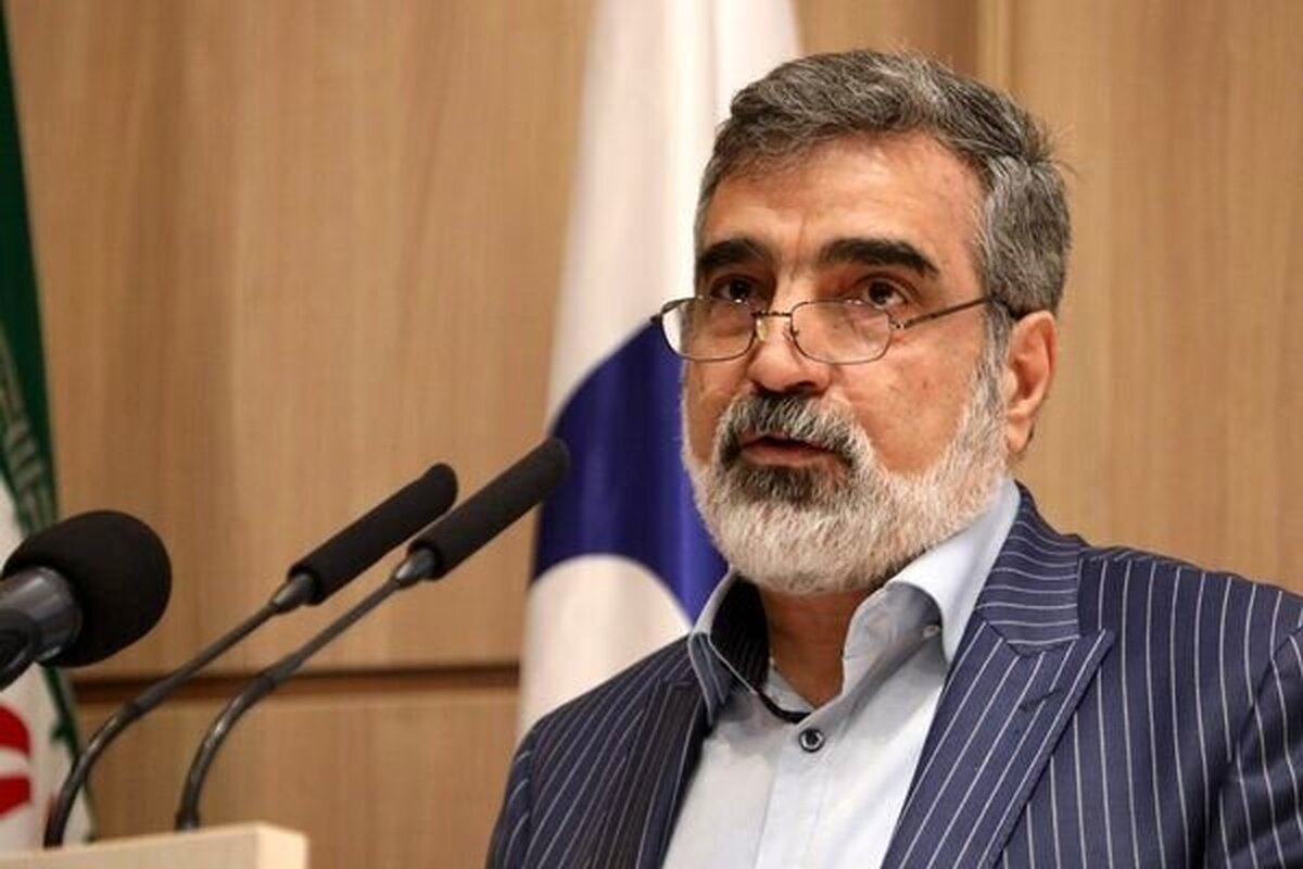 صدور قطعنامه در شورای حکام به اسنپ‌بک منجر نمی‌شود