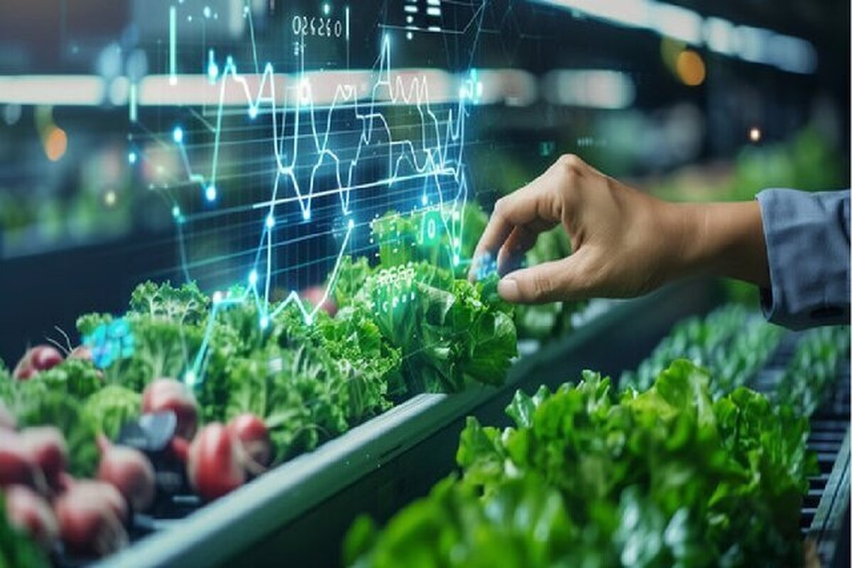 تمدید مهلت فراخوان «جذب مروج- پژوهشگر پسادکتری کشاورزی و منابع طبیعی»