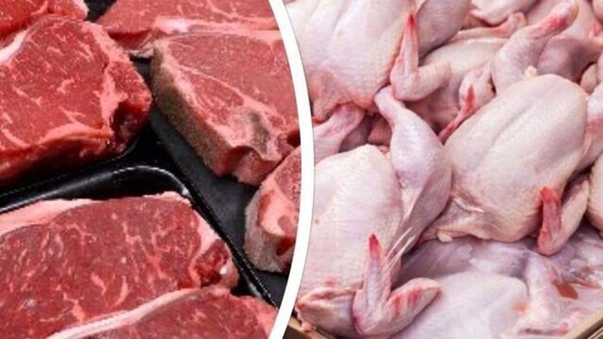افزایش عرضه مرغ و گوشت در اردیبشهت ماه