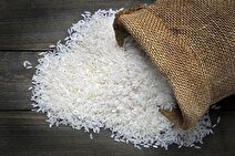 تغییر قیمت برنج ایرانی/ چرا برنج گران شد؟