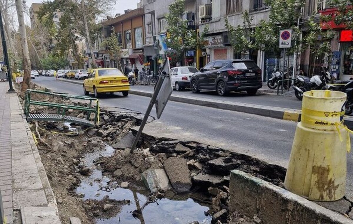توضیح شهرداری درباره جابه‌جایی درختان کهنسال خیابان فلسطین