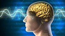 محققان برای نخستین بار نور را به مغز انسان تاباندند