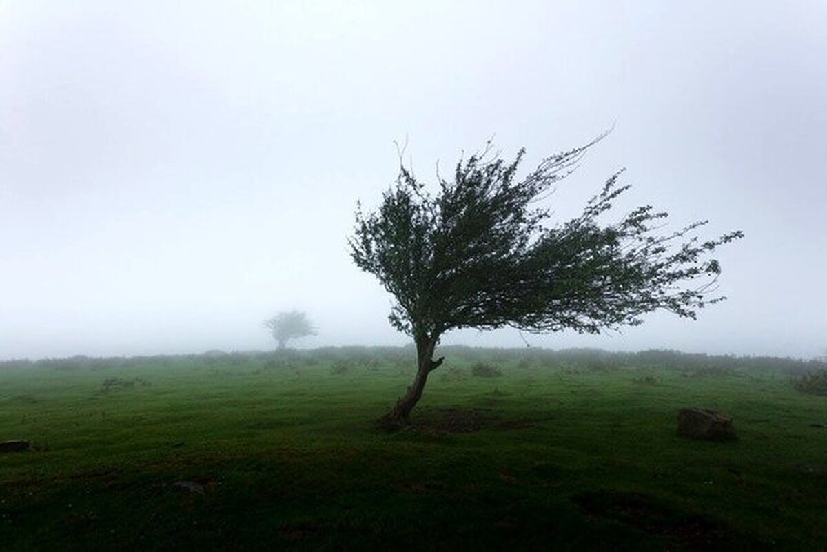 وزش باد و رشد ابر در پنج روز آینده در تهران