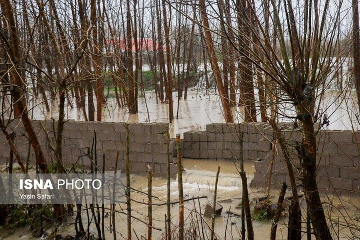 امدادرسانی به ۱۶۸ نفر در پی آب‌گرفتگی ۲۰ روستای شهرستان قلعه‌گنج کرمان