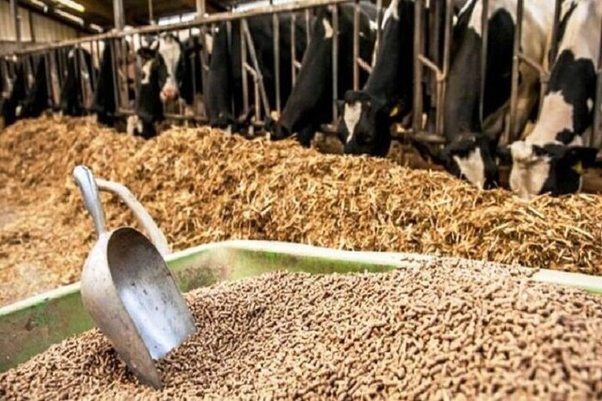 موانع اصلی تأمین نهاده‌های دامی در کشور چیست؟