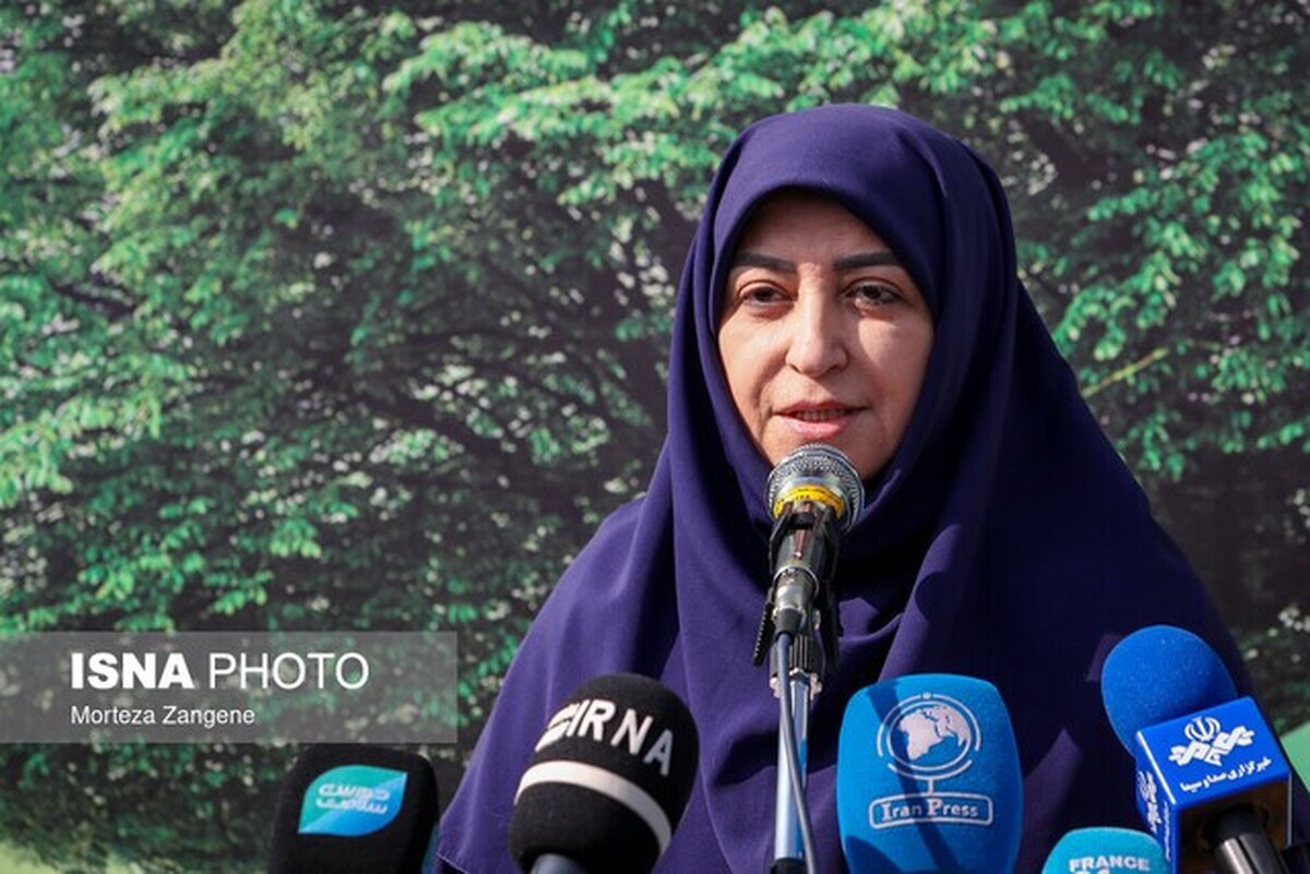 انصاری: تالاب صالحیه، کانون اصلی گردوغبار تهران و کرج است