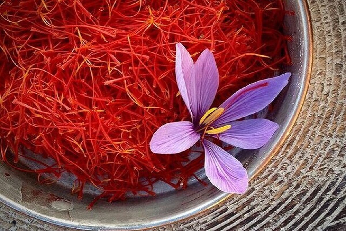 زعفران، ناجی سلول‌های مغزی در بیماران دیابتی