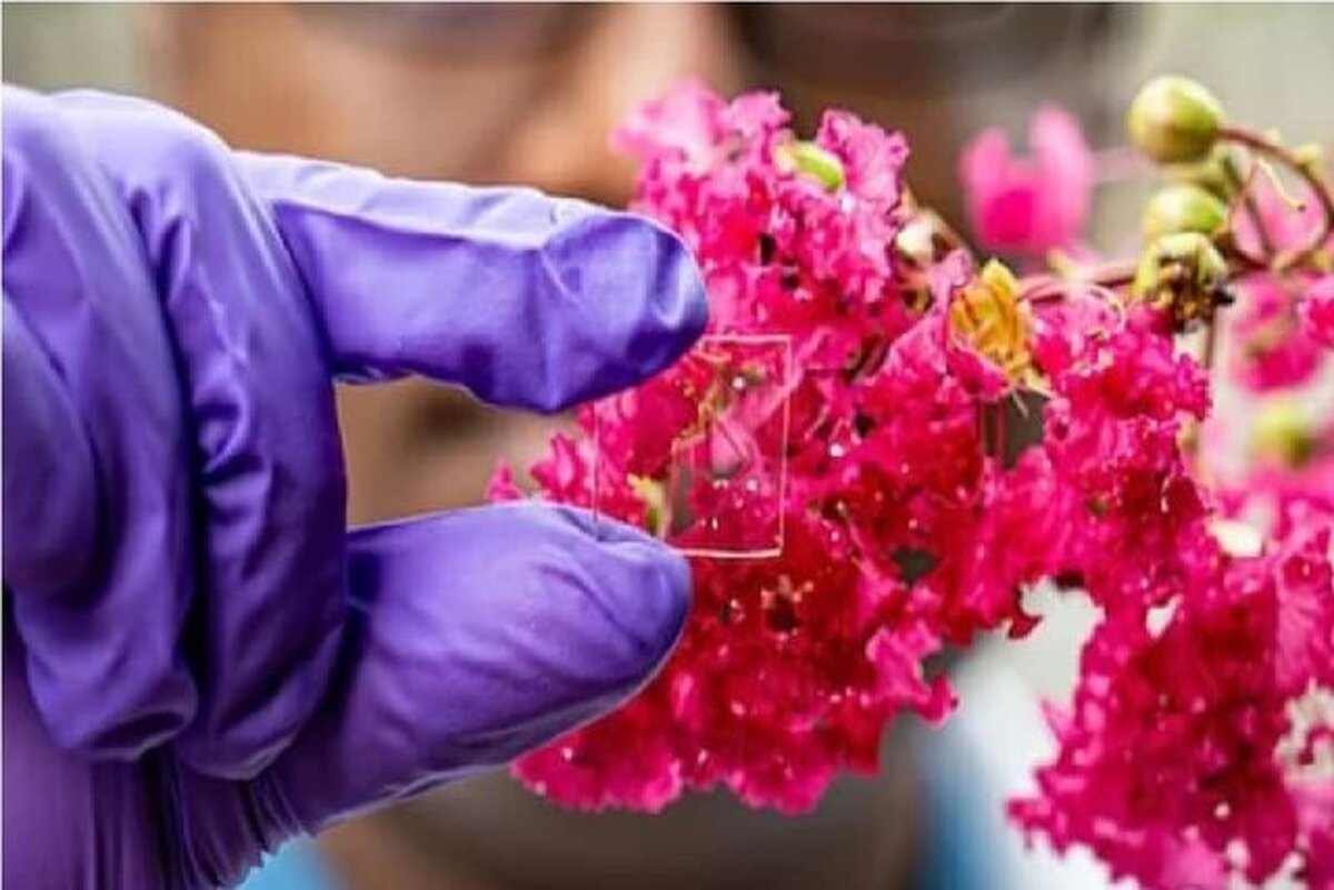 پوشش شیشه‌ای منحصربه‌فرد برای مقابله با گرما، سرما و اشعه فرابنفش