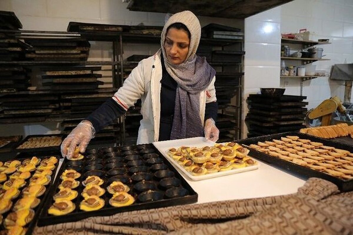۸۰ درصد مجوزهای مشاغل خانگی متعلق به زنان