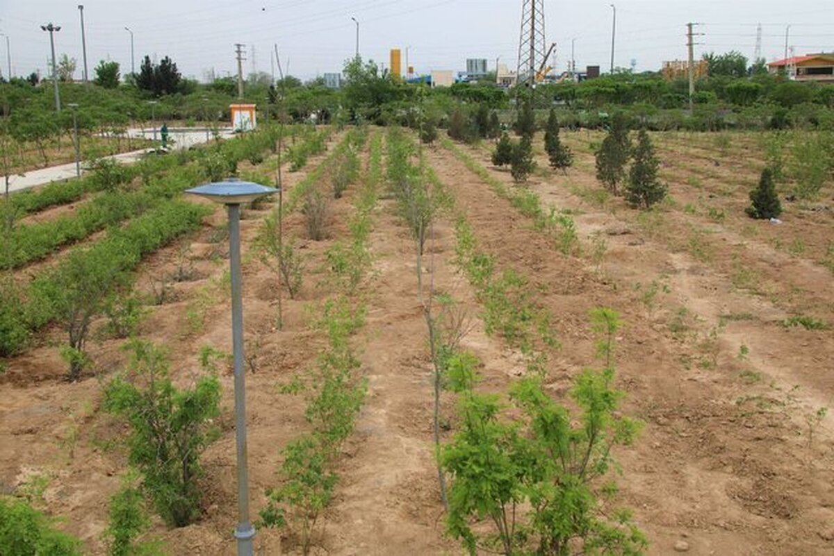 ضرورت تقویت زیرساخت‌های فضای سبز در سکونتگاه‌های روستایی کشور