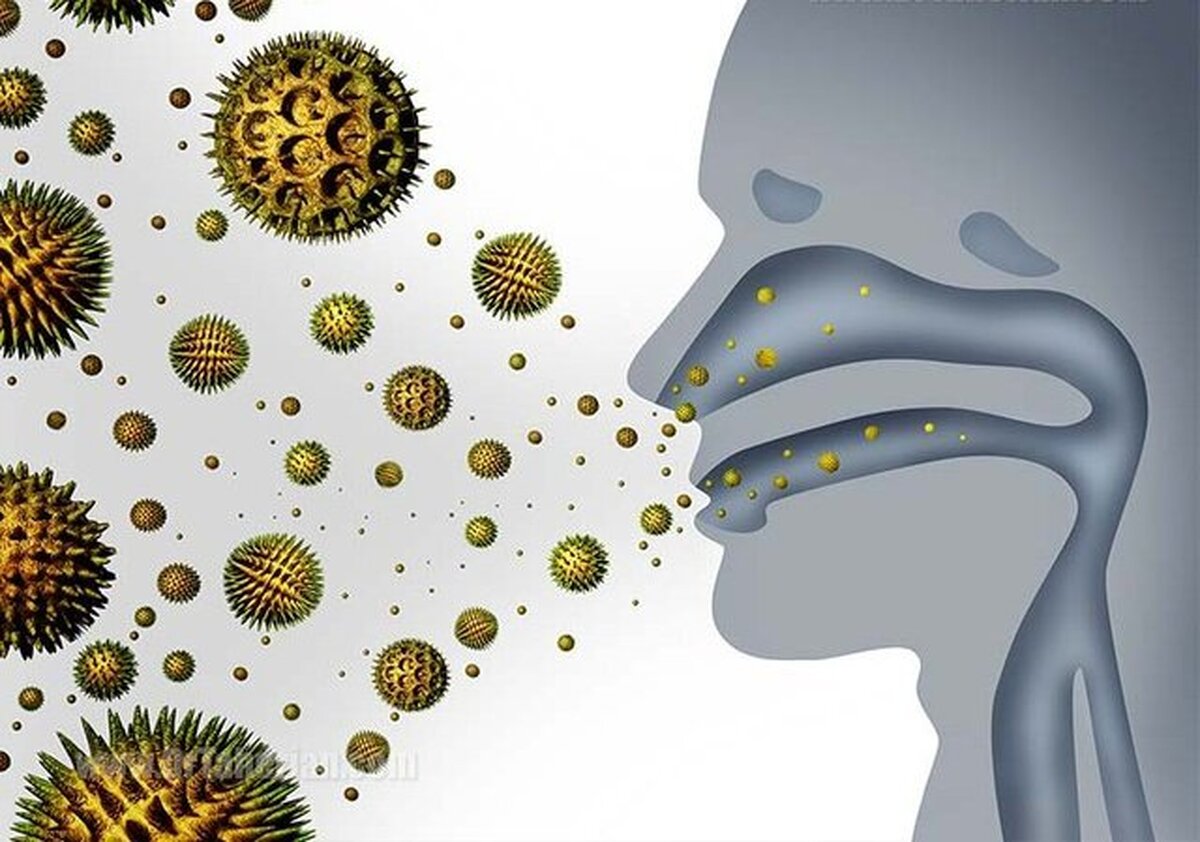 حیوانات خانگی می‌توانند منبع آلرژی‌های جدی باشند