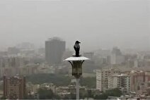 کیفیت آب تهران تغییری کرده است؟