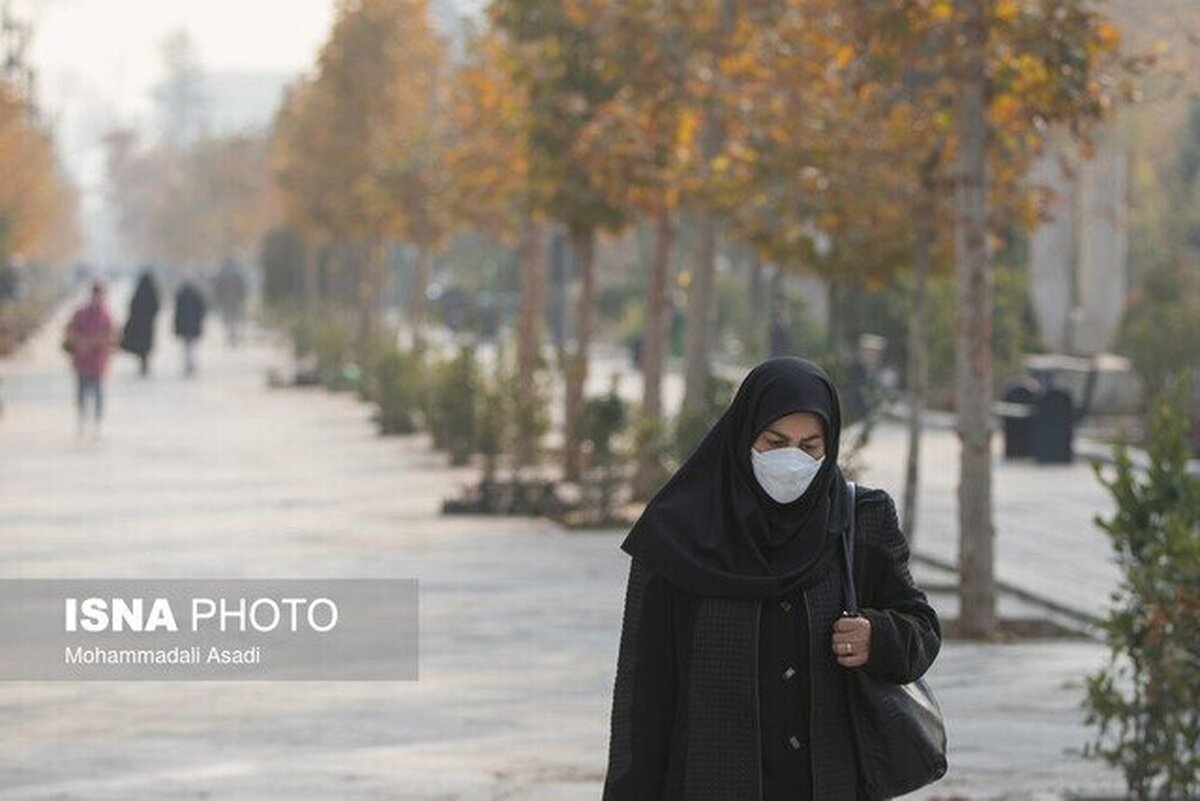 ۵ راهکار ساده برای کاهش تاثیر گرد و غبار و آلودگی هوا بر سلامتی