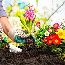 تولید کود بیولوژیک برای رشد گیاه در شرایط خشکسالی از سوی دانش‌بنیان‌ها