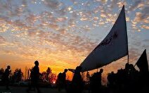 اربعین به مثابه متن هستی