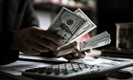 عرضه ارز اربعین از امروز در بانک های عامل