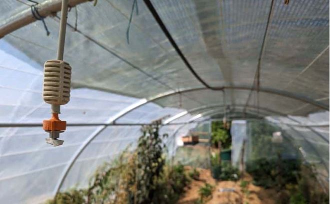 چطور لوله گالوانیزه در سیستم آبیاری، سود زمستانه گلخانه را دو برابر می‌کند؟