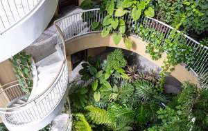 عکس دیده نشده از ویتنام