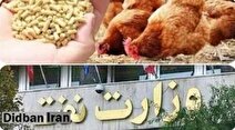 وزیر نفت و بحران مرغ ۲۰۰ هزارتومانی؛به جای ارز وعده تحویل می دهند!