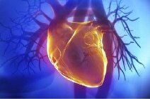 RNAهای حلقوی ابزار تازه برای پیش‌بینی بیماری‌های قلبی