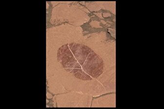 عکس مریخنورد «کنجکاوی» از اثر انگشت مریخی!