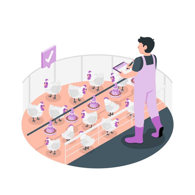 واردکنندگان متهم به عرضه بدون ضمانت/  پشتپرده مرغ ۱۹۰ هزار تومانی در بازار واردکنندگان متهم به عرضه بدون ضمانت/  پشتپرده مرغ ۱۹۰ هزار تومانی در بازار