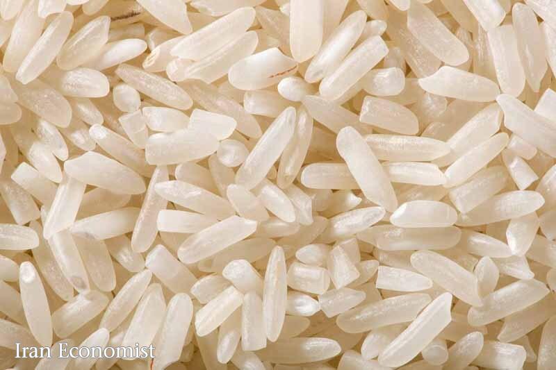 فروش دوفاکتوره برنج تنظیم بازار را بهم ریخت/ قیمت برنج ایرانی از کیلویی 350هزار تومان عبور کرد فروش دوفاکتوره برنج تنظیم بازار را بهم ریخت/ قیمت برنج ایرانی از کیلویی 350هزار تومان عبور کرد