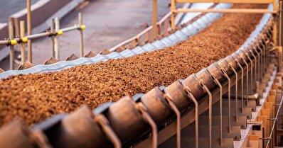 پیش بینی جدید گلدمن ساکس در سال ۲۰۲۶