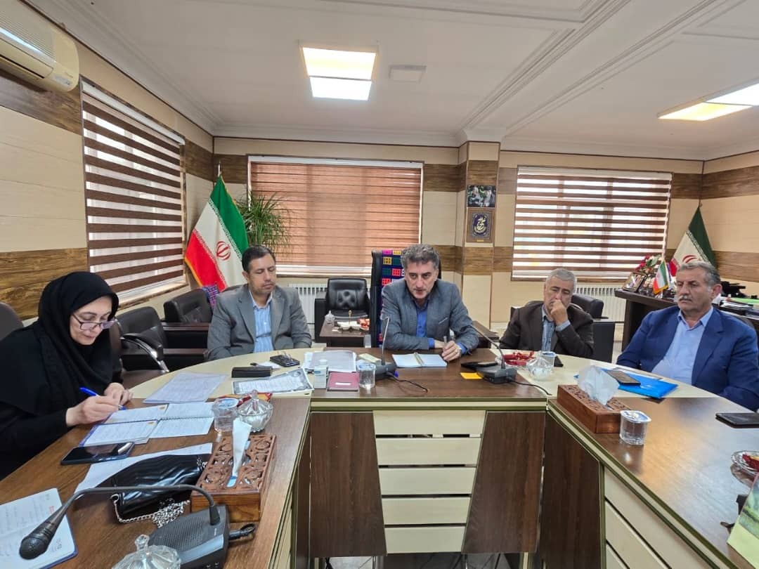 امیر مرادی در نشست قیمتگذاری مرکبات شهرستان رودسر، با تاکید بر لزوم حمایت از کشاورزان و باغداران و تولیدکنندگان و صاحبان صنایع در حوزه مرکبات به ویژه پرتقال، اظهار کرد