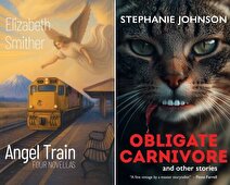 حذف ۲ کتاب به‌خاطر هوش مصنوعی