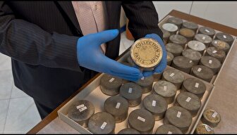 شناسایی ۳۱ حلقه فیلم از دوره قاجار در کاخ گلستان