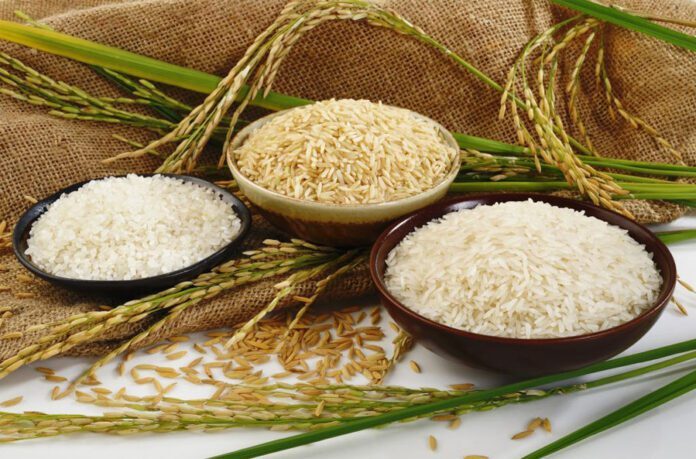 آیا قیمت منطقی برای برنج وجود دارد آیا قیمت منطقی برای برنج وجود دارد