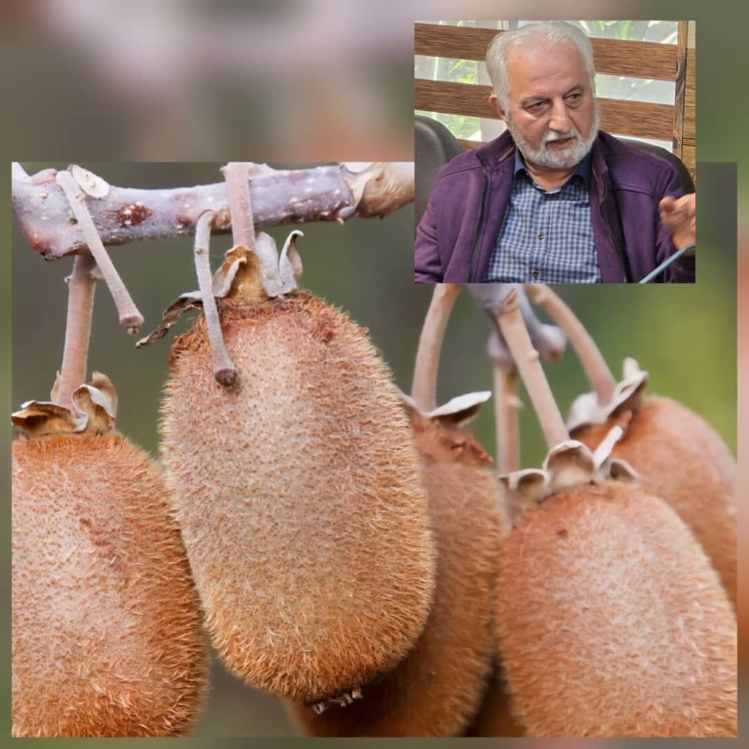 احمد جواهردشتی در گفت وگو با خبرنگاراکونومیست در گیلان احمد جواهردشتی در گفت وگو با خبرنگاراکونومیست در گیلان