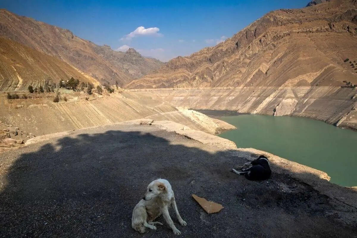 کاهش نزولات جوی و سرنوشت سدها کاهش نزولات جوی و سرنوشت سدها
