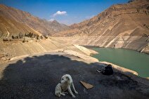 کاهش نزولات جوی و سرنوشت سدها