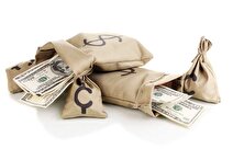 از دلار انتظار پایین آمدن از منبر را نداشته باشید