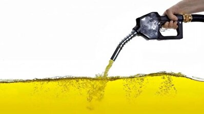 گم‌شده/ حجم عظیمی از این سوخت گم شد