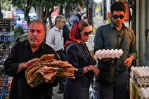 شیوع مراجعه به رادیولوژی/ ستون فقرات خمیده مردم