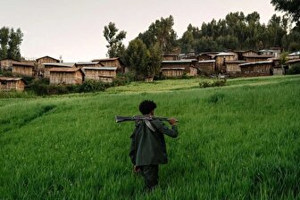 تصاویر؛ در دل شورش فانو