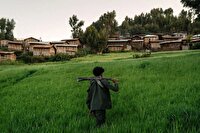 تصاویر؛ در دل شورش فانو