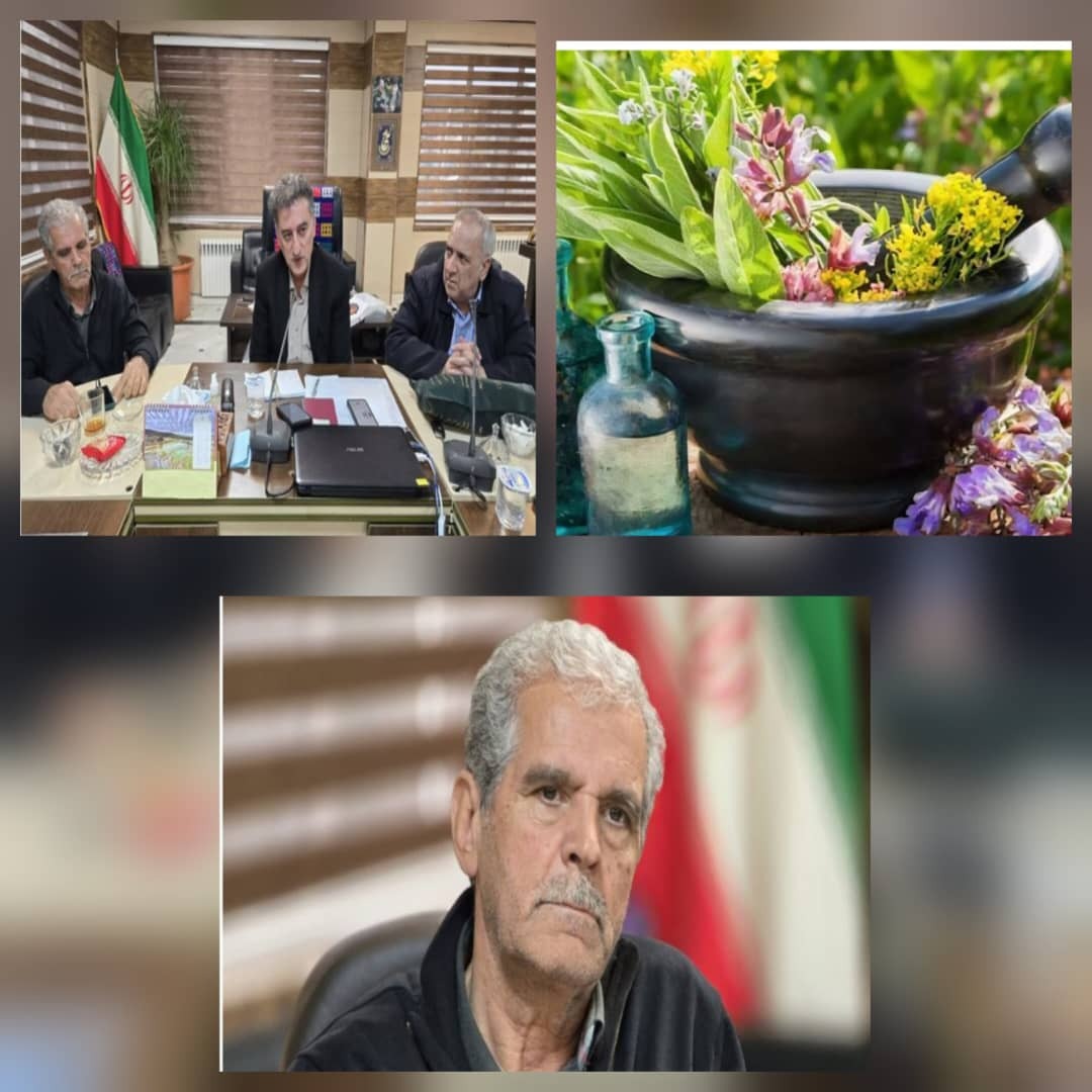 دیدار فرماندار با رئیس اتحادیه انجمن های علمی گیاهان دارویی دیدار فرماندار با رئیس اتحادیه انجمن های علمی گیاهان دارویی